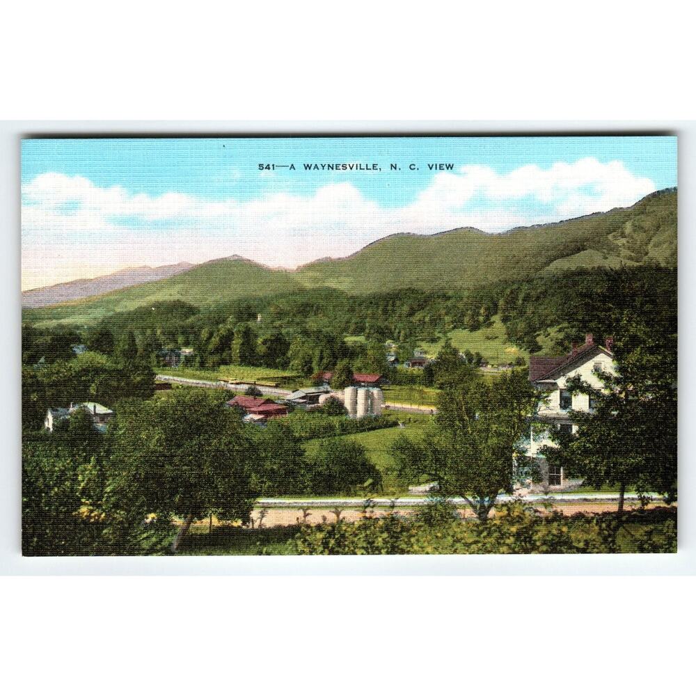 Vintage Postcard “A Waynesville, N.C. View” – Deuel News Co. / E.C. Kropp – NOS
